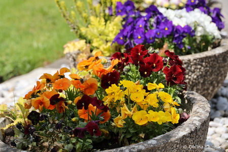 Praznik razvoja v Tunjicah (29)